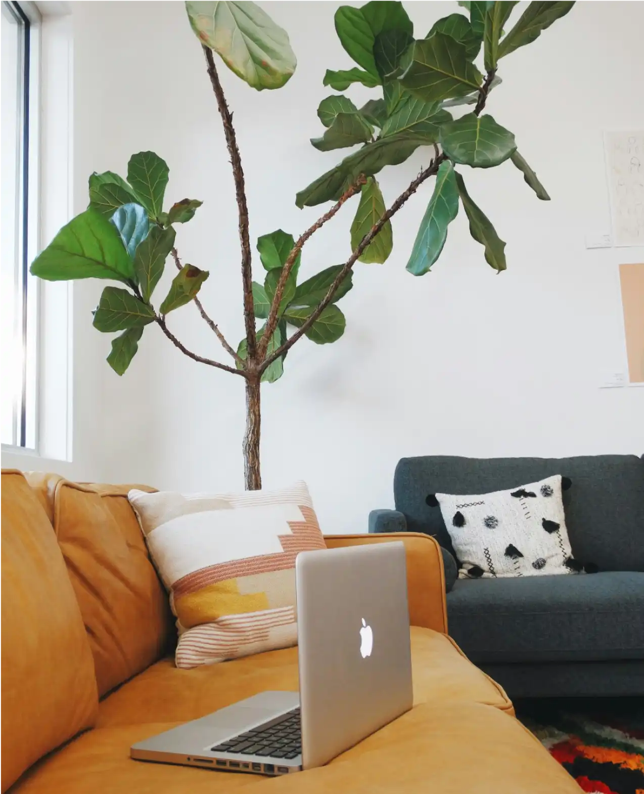 A silver laptop sits on a yellow sofa with a large plant and another couch in the background